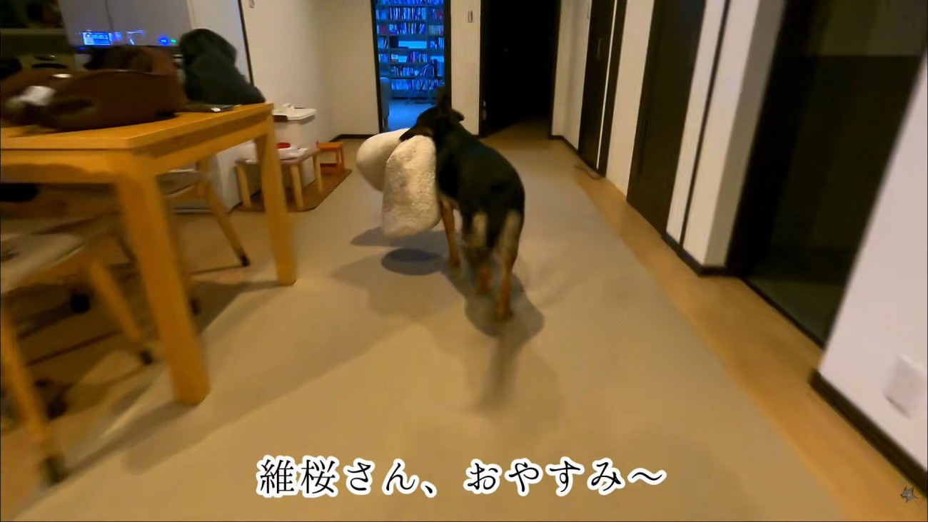 「わたしも寝る！パパ、おやすみ～」