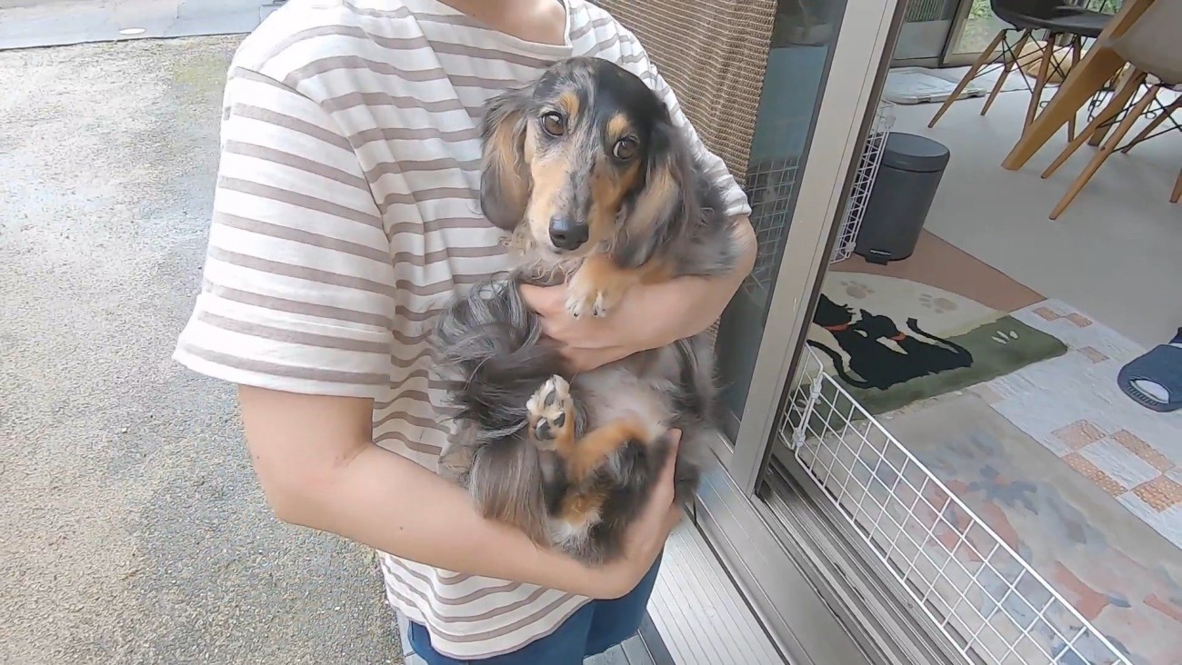 抱っこしたら軽すぎてびっくり！