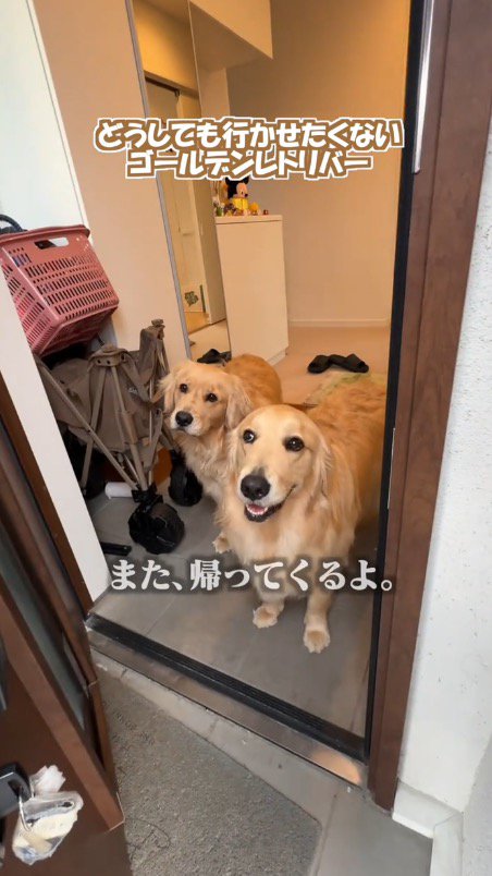 笑顔で客人たちを見送る2頭の犬