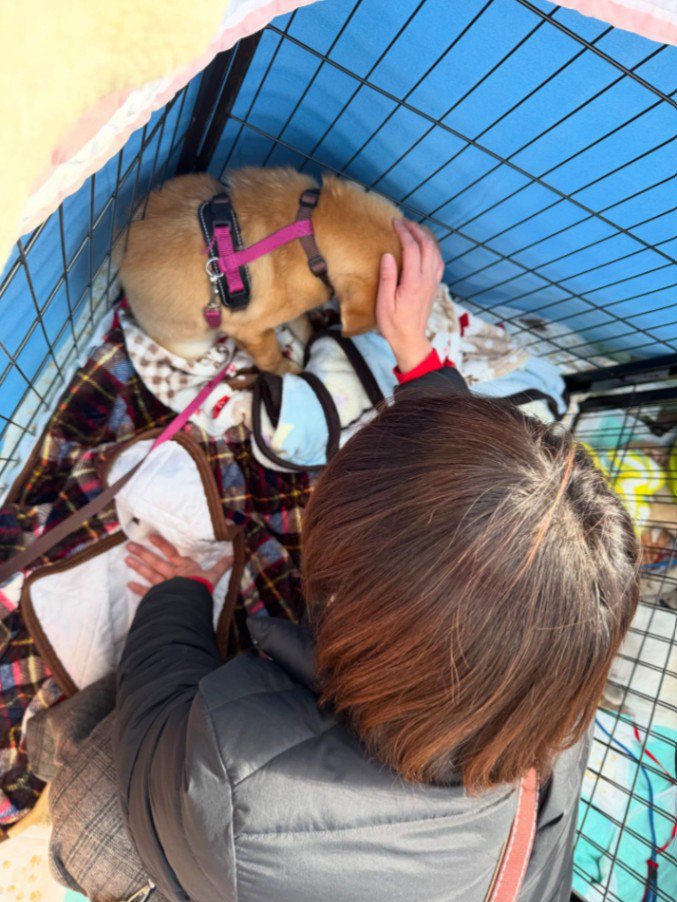 風ちゃんとの出会い