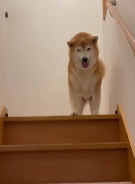 「上がってきてくれてありがと♡」