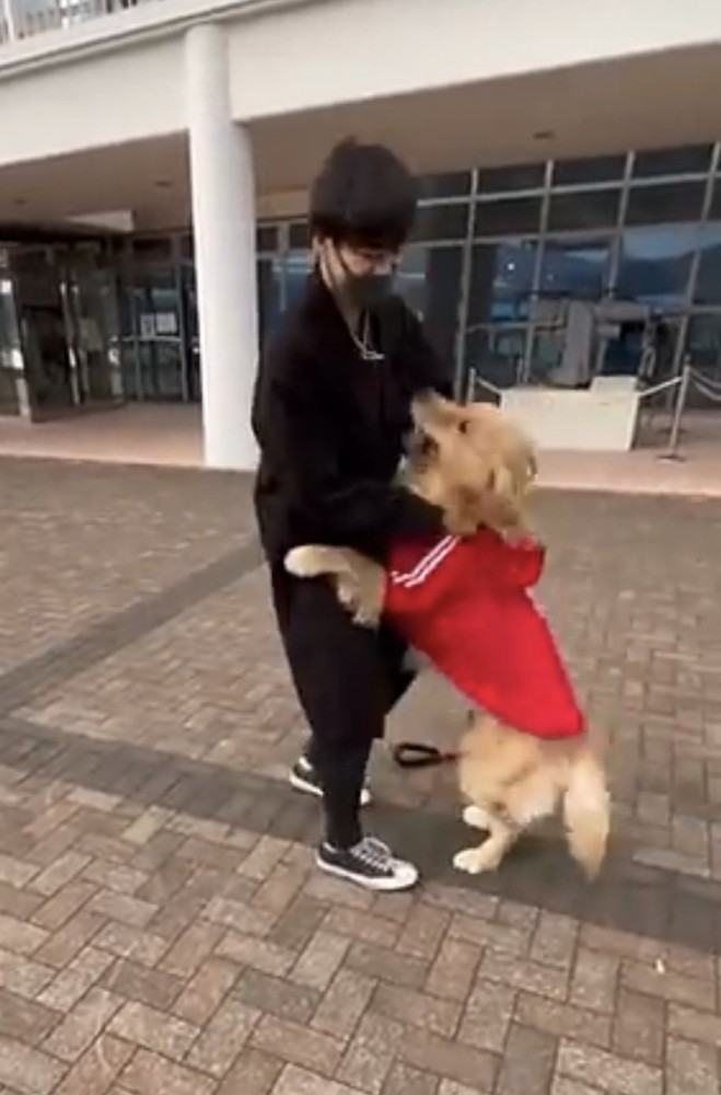 男性に甘える犬