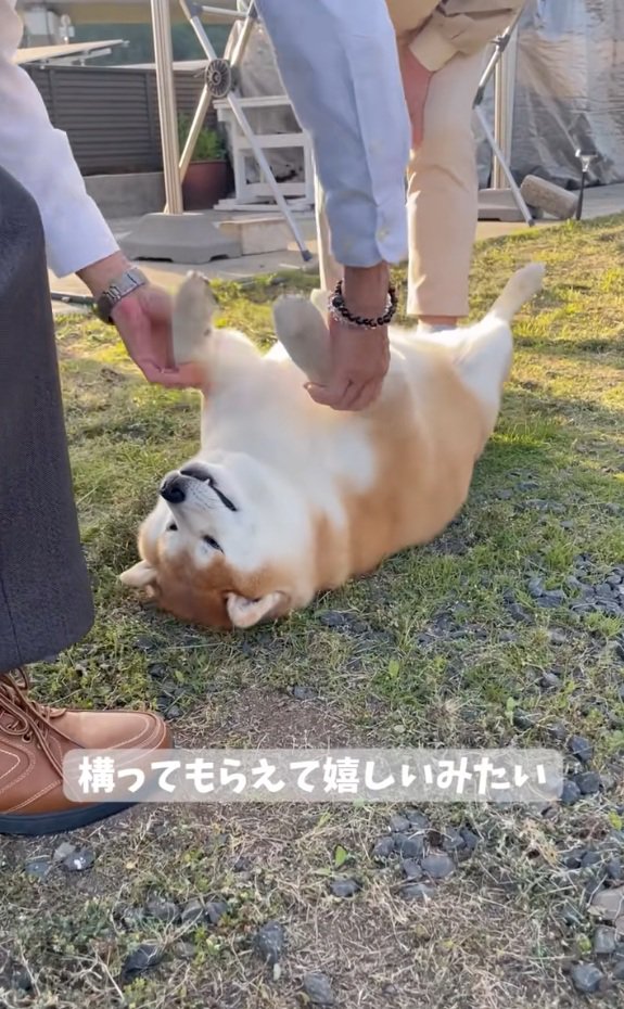 前足を持つおじいちゃん