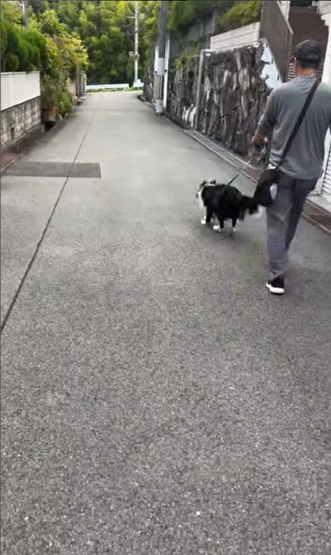 おじさんとお散歩中のルナちゃん3