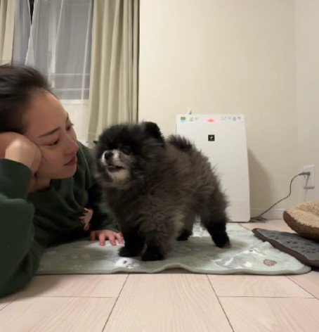 幸せな光景に心温まる…