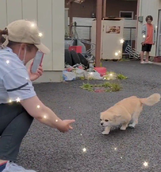 「あ…ママだ」