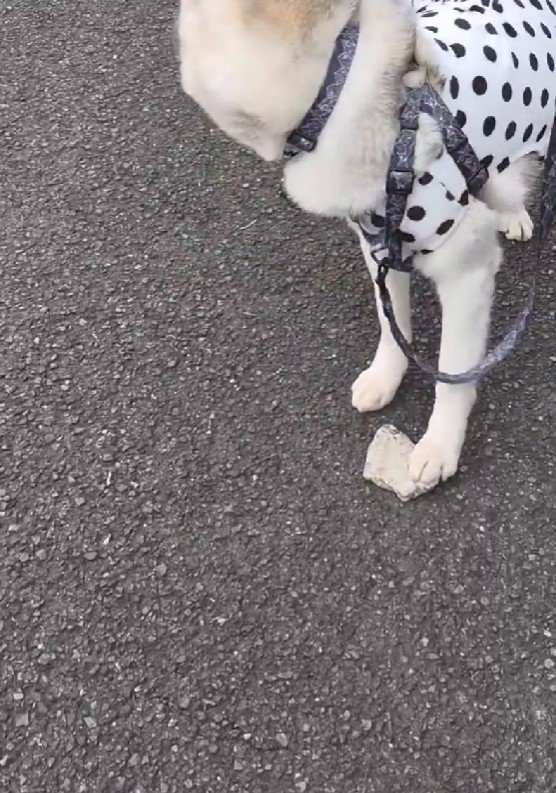 周りをキョロキョロ