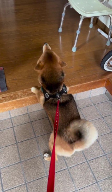 ヒコーキ耳で大喜び♡