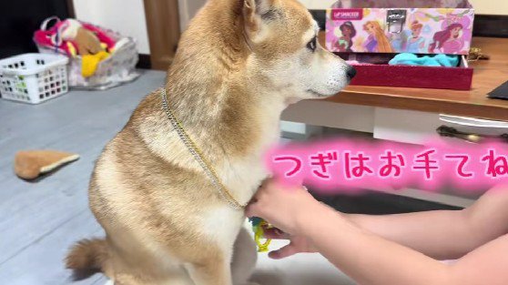 ブレスレットも付けよう