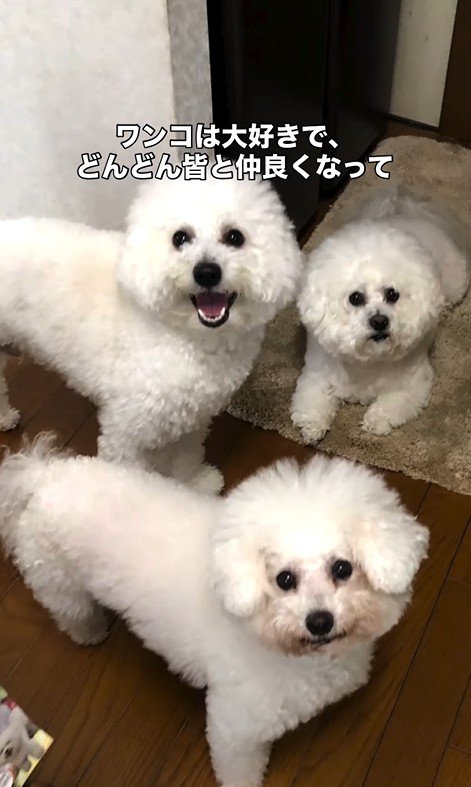 リリーちゃんの変化4