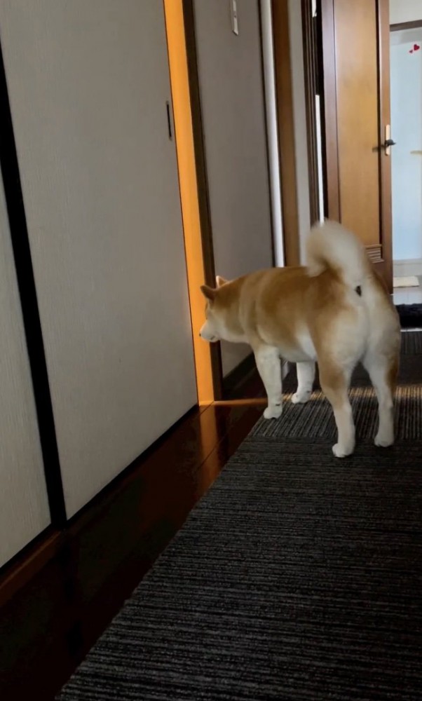 「どうしたんだろ」