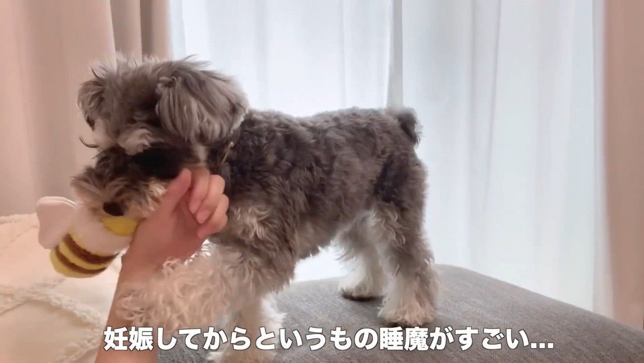 横になったまま遊んであげることに