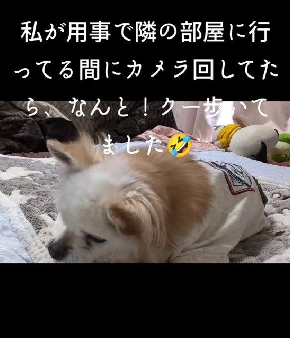 一旦ひとやすみ