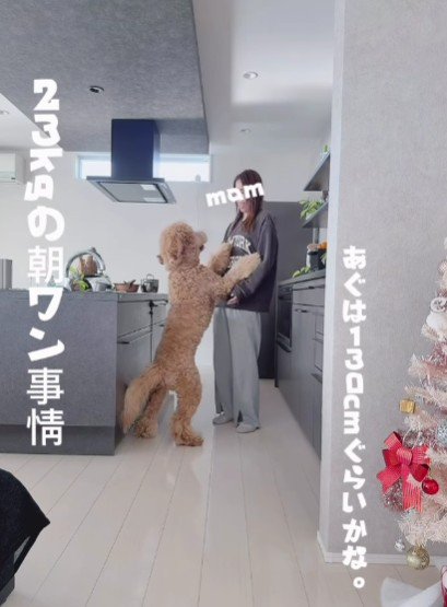 ママに抱っこをおねだり