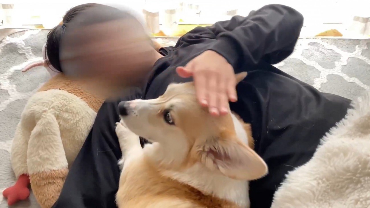 エアーなでなでしたら？