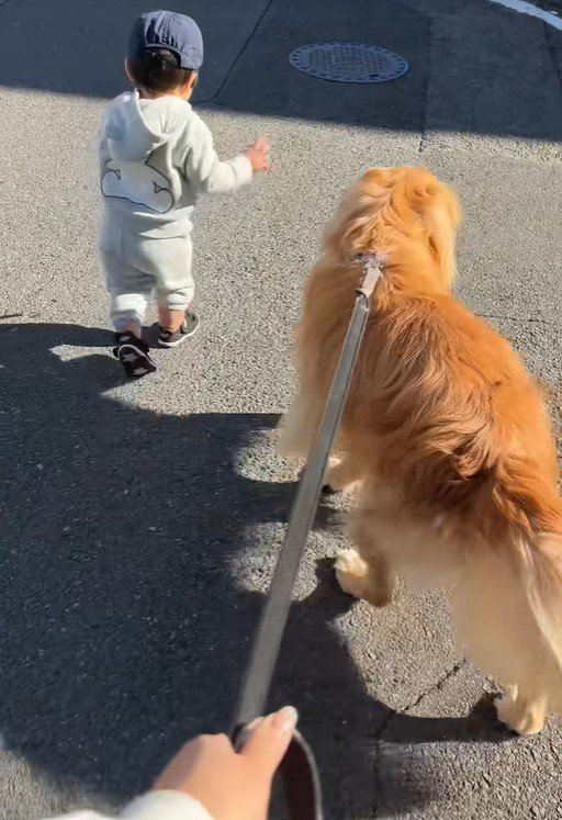 弟くんが歩けるように