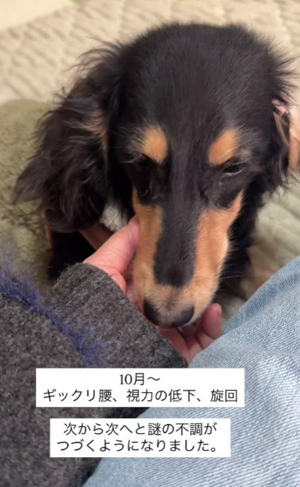 まさかの急展開に…