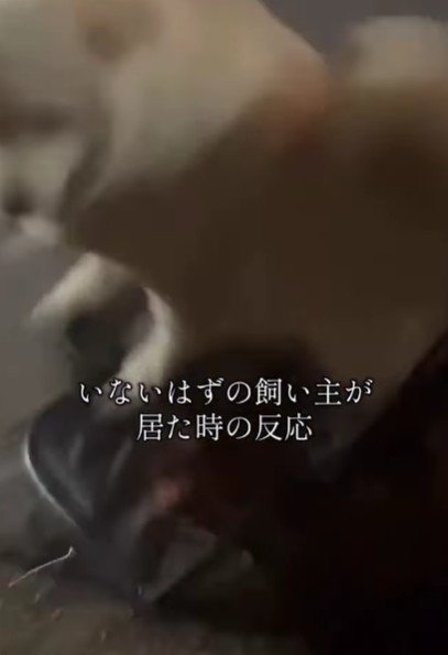 「なんでこんなところに！！」