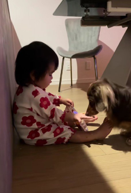 犬用のお菓子！！