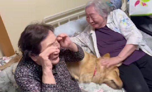 微笑ましいワンシーンでした