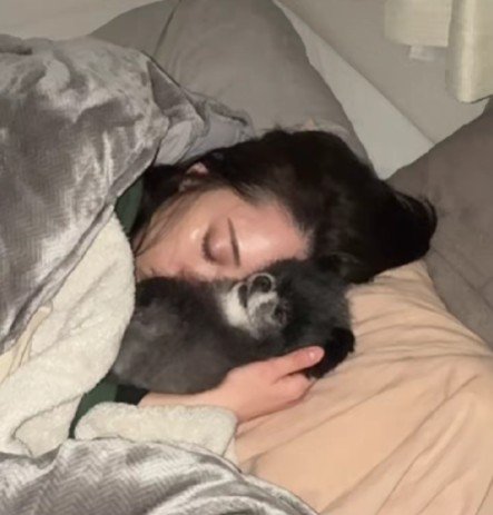 仰向けで寝るみるくちゃん