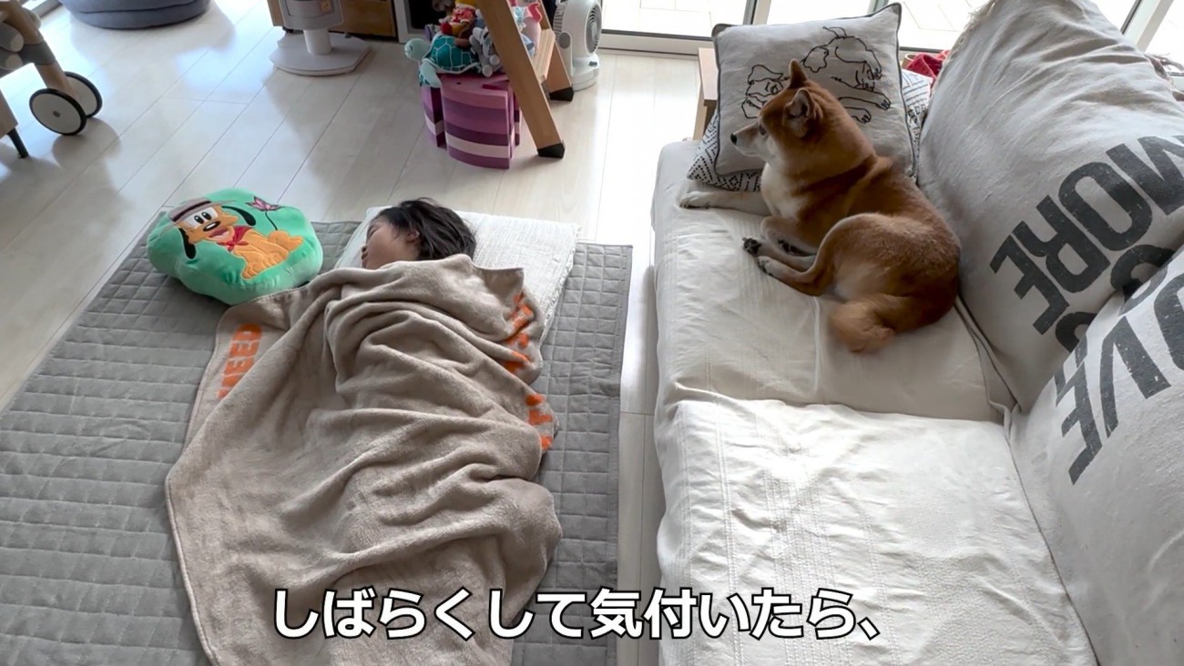 ソファの上から見守ることに