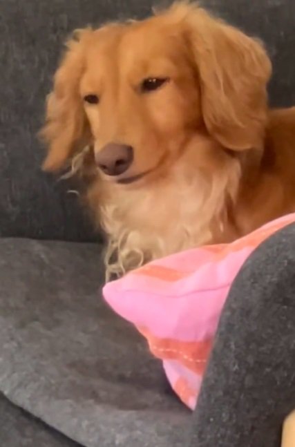 うなずくしまちゃん