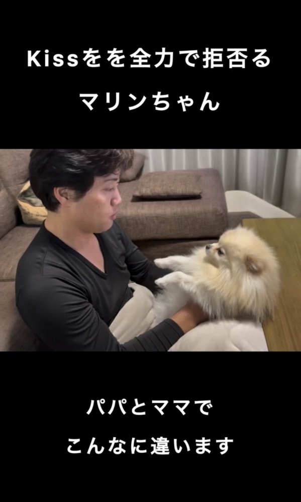 見つめあう犬と人