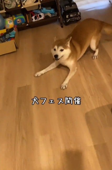 腰を落とす甚八くん