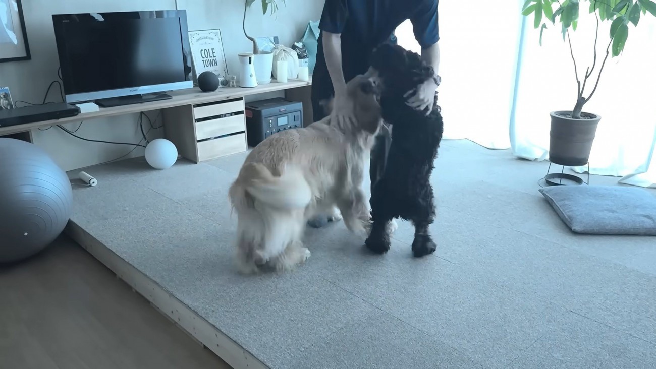 熱烈大歓迎♪