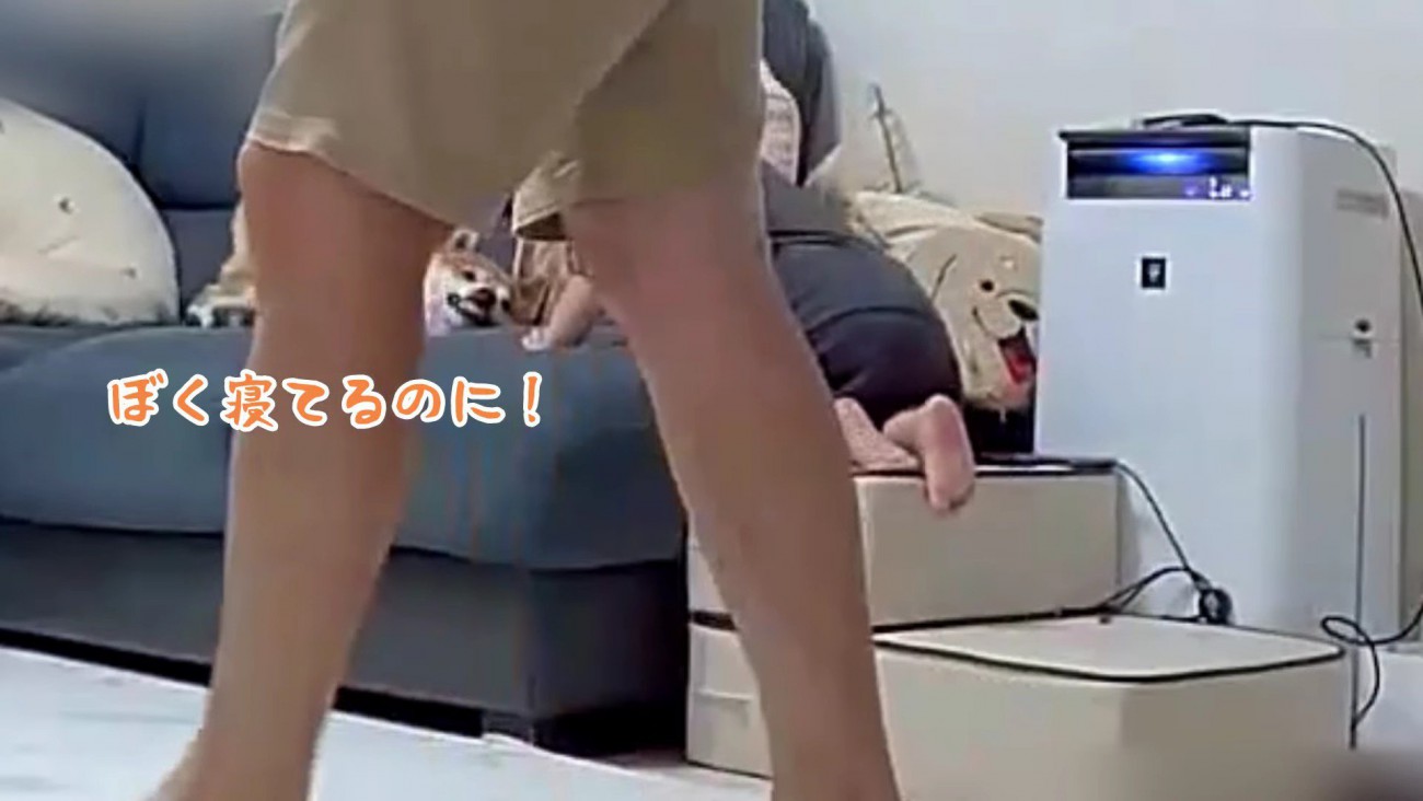 「今は寝てるの！」