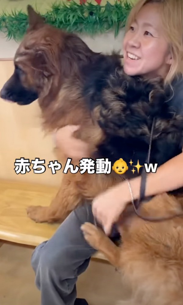 大きな体で抱っこされる犬