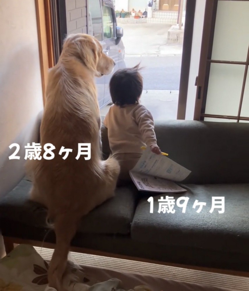 窓の外を静かに見つめるふたり