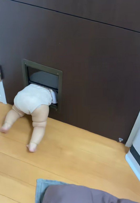 赤ちゃんが詰まってる！！