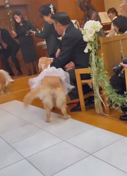 「パパここにいたの！！」