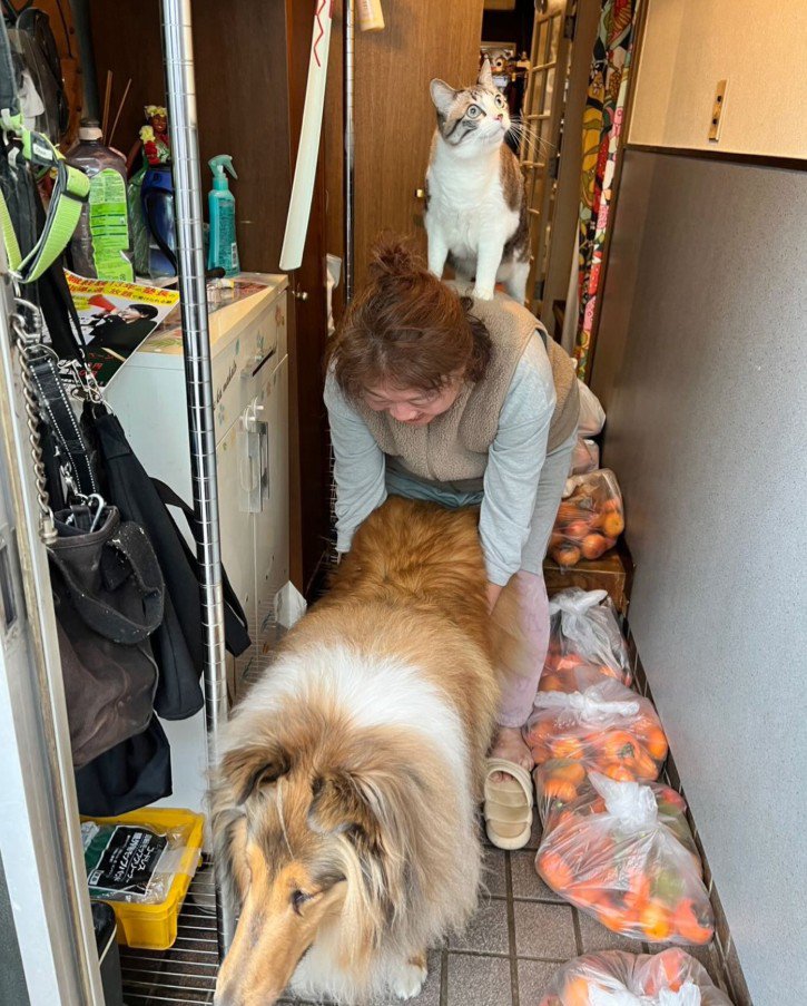 まるでブレーメンの音楽隊♪