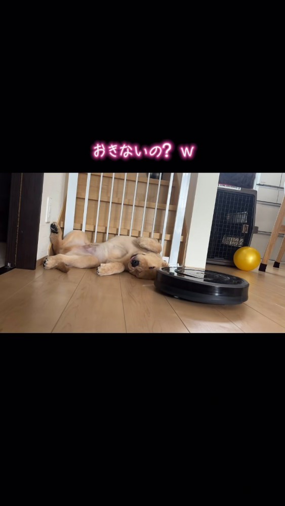 頭の上を通るルンバ