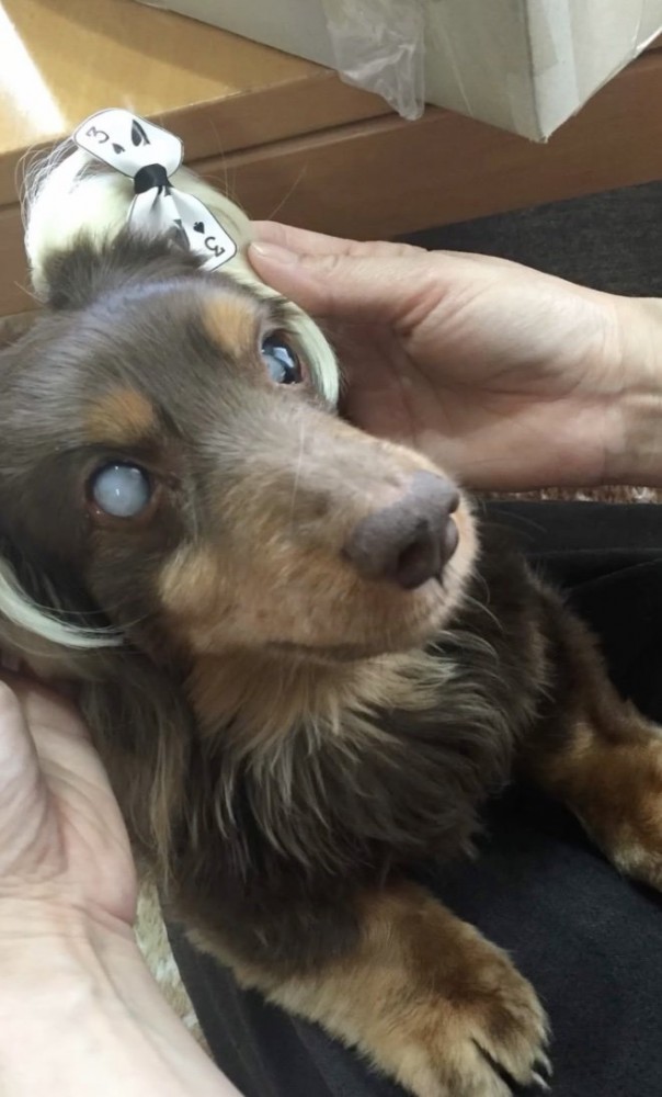 オシャレもバッチリ