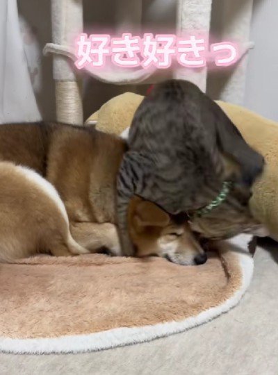 勢いよくハグをして…