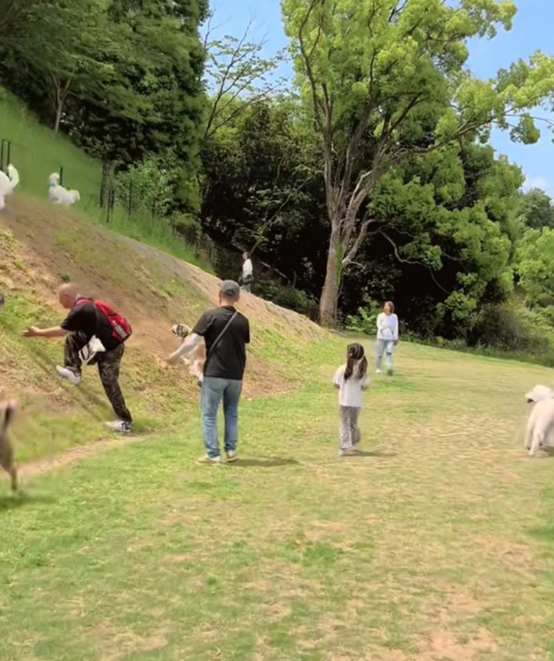 滑り落ちてしまうおもちちゃん