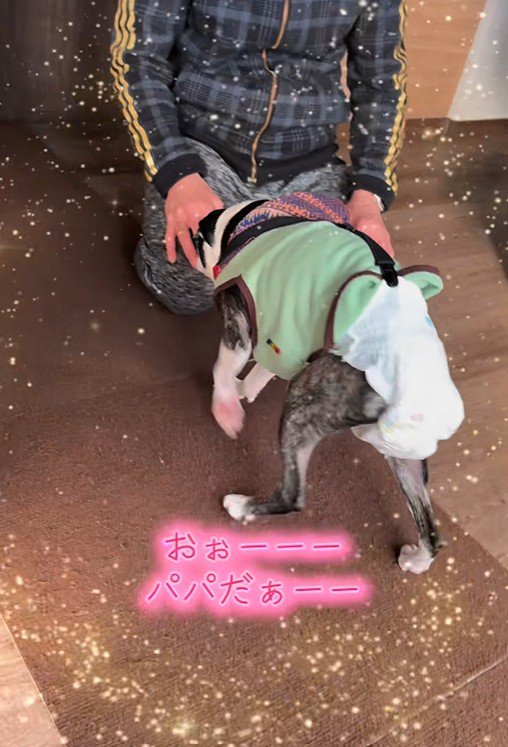 嬉しそうにそばへ♪