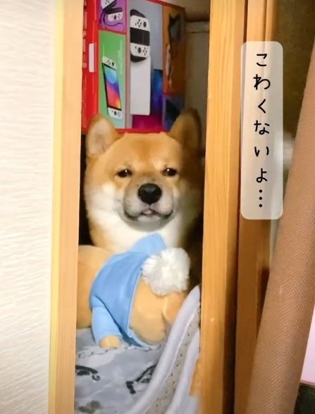 抱きしめたくなる可愛さ♡
