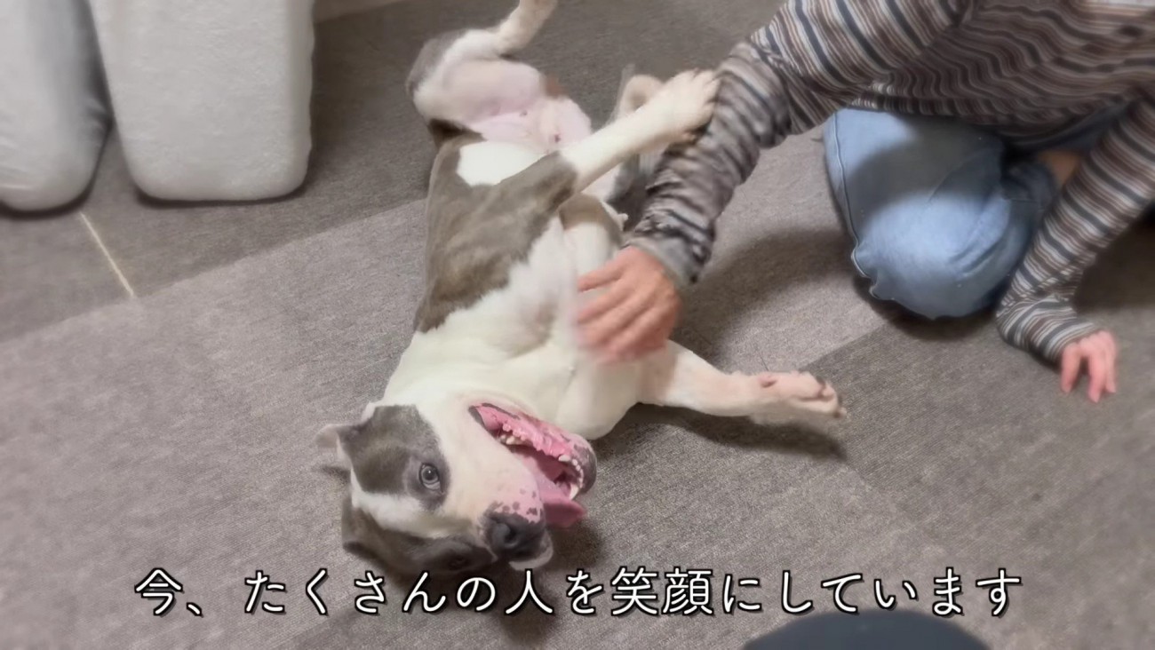 みんなを笑顔にするレンちゃん！！