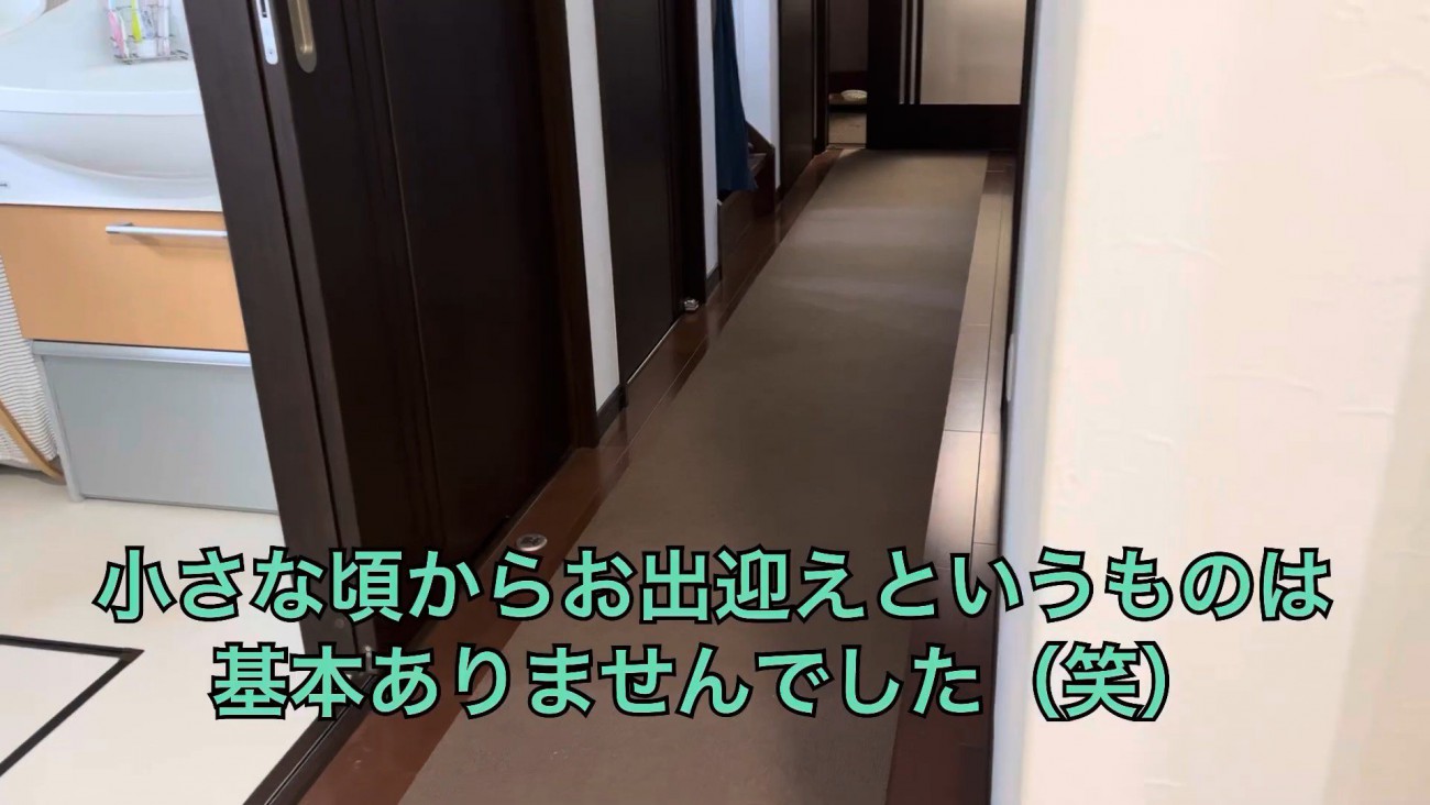 帰宅してもお出迎えナシ