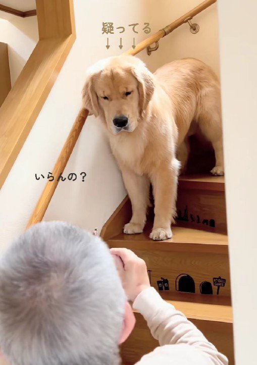いぶかしげな顔で硬直！