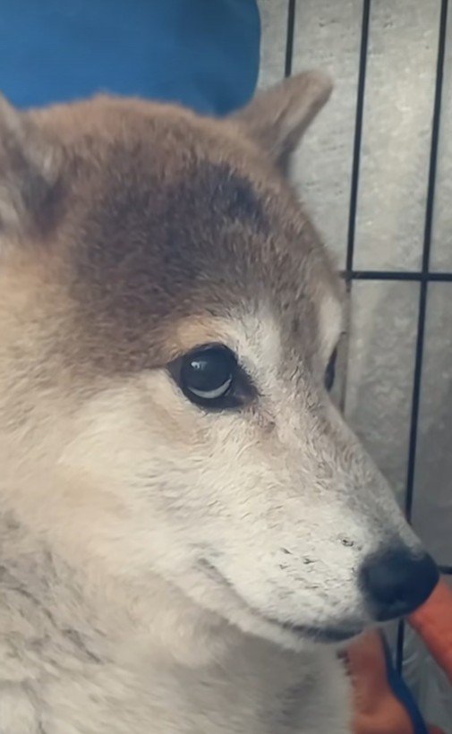 緊張感がすごい…！