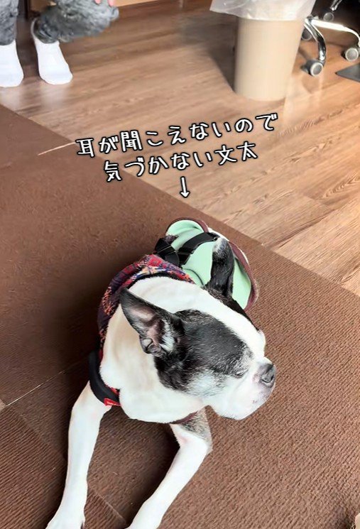 ぶんた君は気づいていません