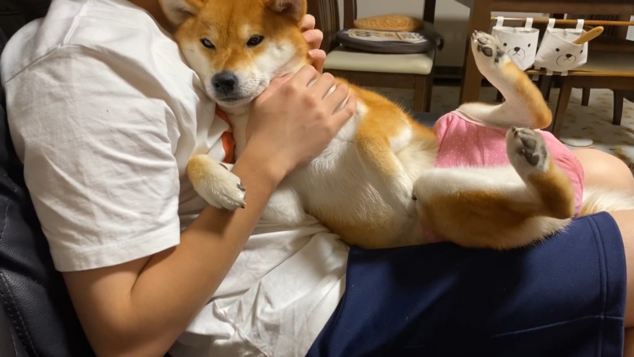 甘えん坊モードのゆきちゃん