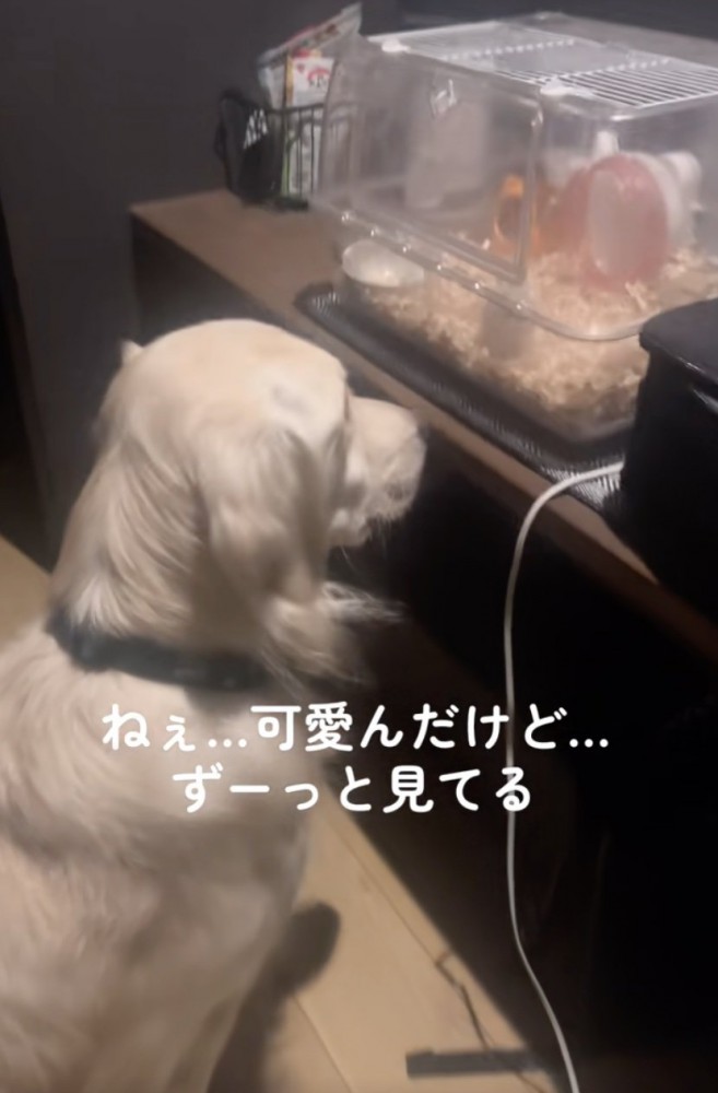 通じ合ってる？