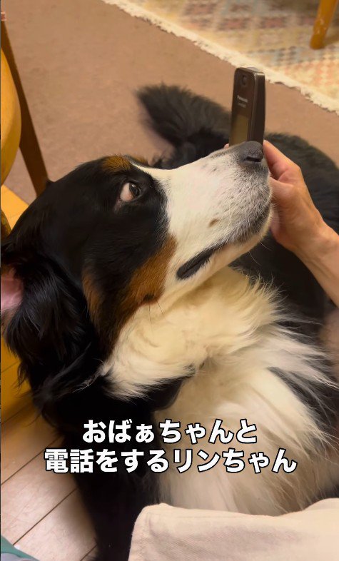 「おばあちゃんの声がする！？」